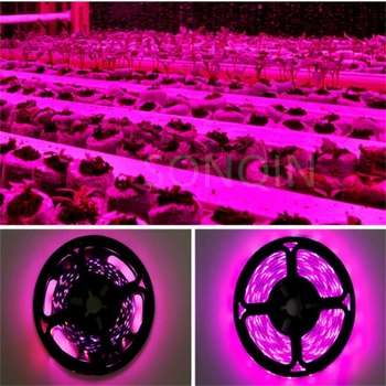 5M водоустойчив LED пълен спектър фито лампа USB 5V LED расте светлина лента 2835 SMD растение цвете LED парникови култивиране хидропонни