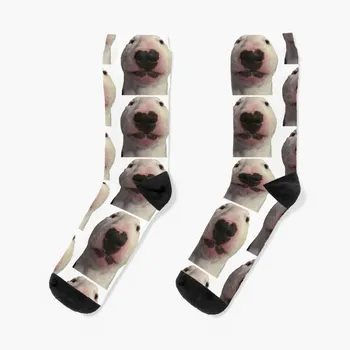 walter dog meme Чорапи памук карикатура Чорапи Мъже Дамски